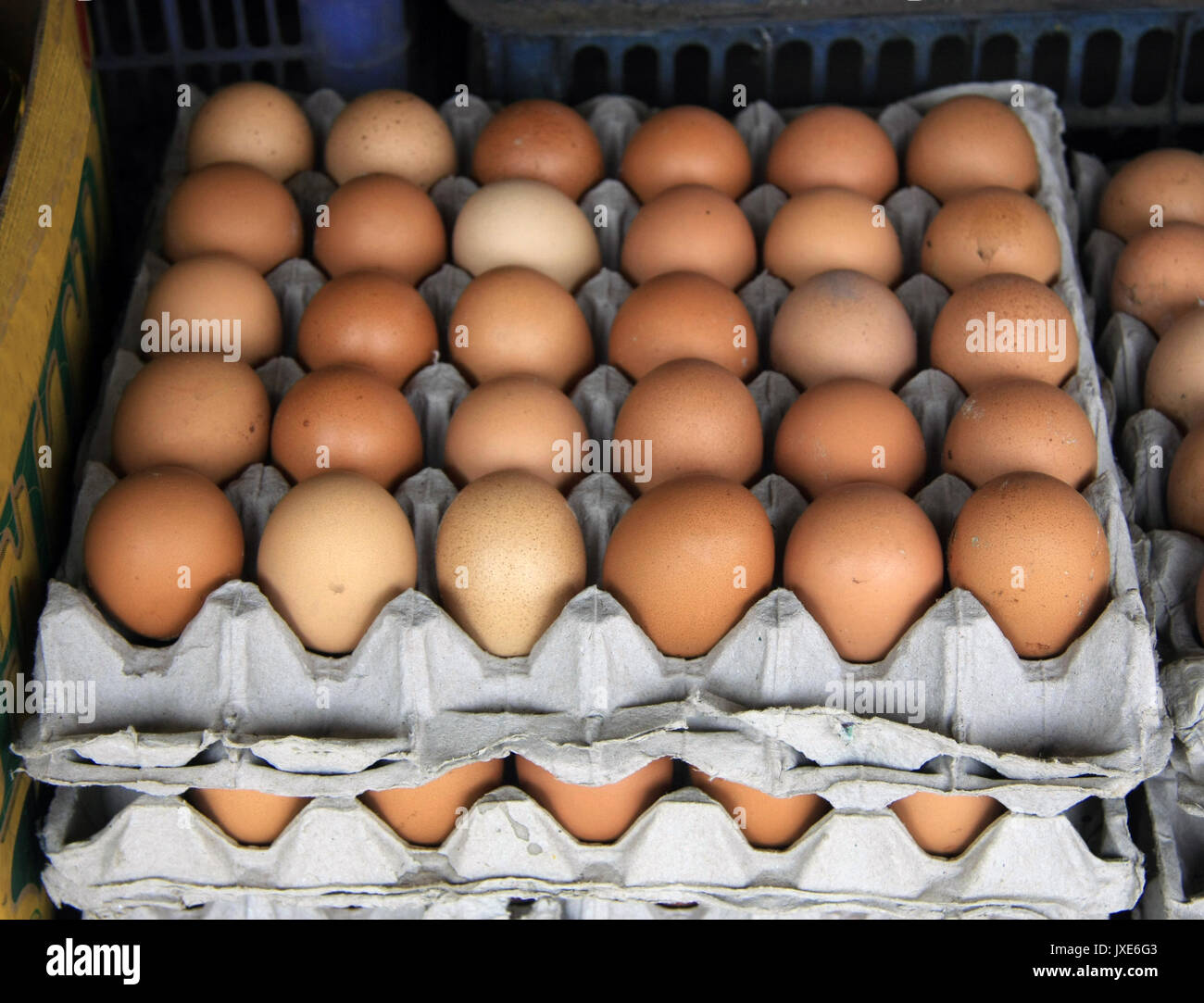 Fresh eggs in egg crates on a market stall in Bali, Indonesia Stock Photo