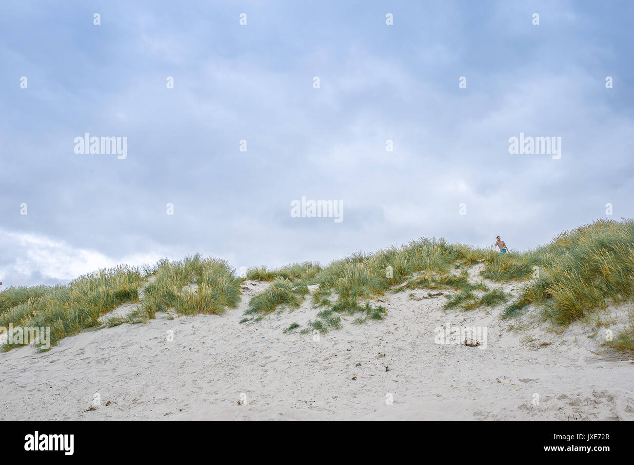 Sand dunes in Blavand, Denmark Stock Photo