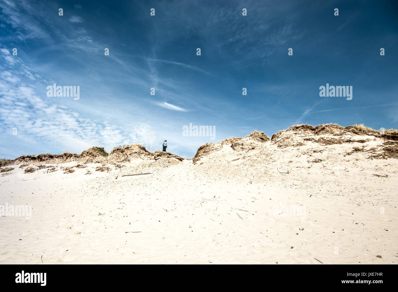 man on dune, Denmark Stock Photo
