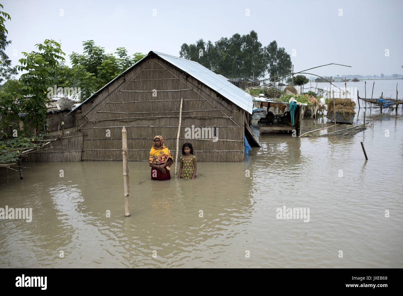 Dhaka, Bangladesh. 15th Aug, 2017. Mother with her girl stand in front of their house when all area under the floodwater at Sariakandhi. Flood-related incidents in Dinajpur, Gaibandha and Lalmonirhat raising the death toll to 30 in the last three days across the country. Credit: K M Asad/ZUMA Wire/Alamy Live News Stock Photo