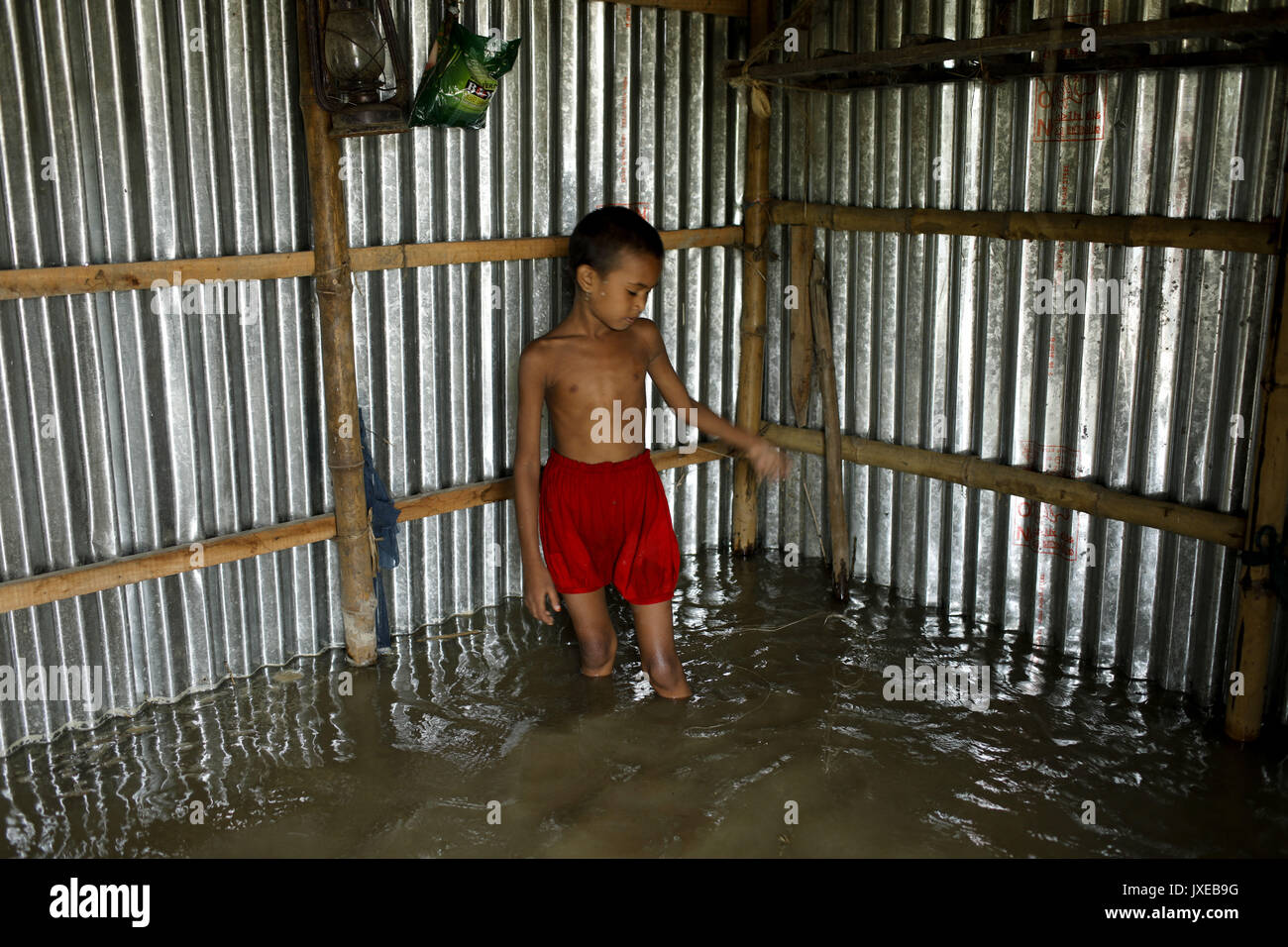 Dhaka, Bangladesh. 15th Aug, 2017. House full of water when all area under the floodwater at Sariakandhi. Flood-related incidents in Dinajpur, Gaibandha and Lalmonirhat raising the death toll to 30 in the last three days across the country. Credit: K M Asad/ZUMA Wire/Alamy Live News Stock Photo