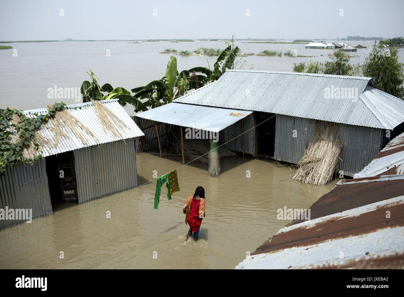 Dhaka, Bangladesh. 15th Aug, 2017. A girl way her home when all area under the floodwater at Sariakandhi. Flood-related incidents in Dinajpur, Gaibandha and Lalmonirhat raising the death toll to 30 in the last three days across the country. Credit: K M Asad/ZUMA Wire/Alamy Live News Stock Photo