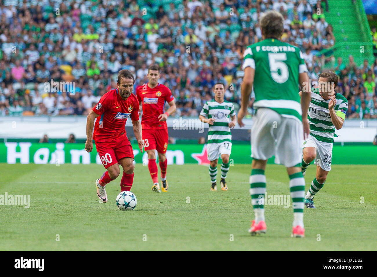 Lisbon, Portugal. 15th Aug, 2017. Steauas forward from Romania Denis Alibec  (7) in action during the game Sporting CP v FC Steaua Bucuresti Credit:  Alexandre Sousa/Alamy Live News Stock Photo - Alamy