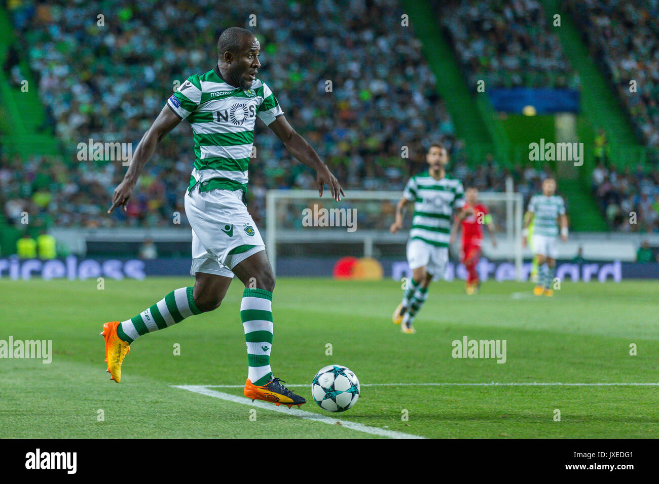 Lisbon, Portugal. 15th Aug, 2017. Steauas forward from Romania Denis Alibec  (7) in action during the game Sporting CP v FC Steaua Bucuresti Credit:  Alexandre Sousa/Alamy Live News Stock Photo - Alamy