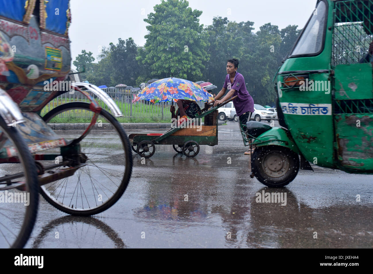 Dhaka, Bangladesh. 16th Aug, 2017.  A Bangladeshi man pushes cart of a disabled beggar during monsoon rain in Dhaka, Bangladesh. Credit: SK Hasan Ali/Alamy Live News Stock Photo