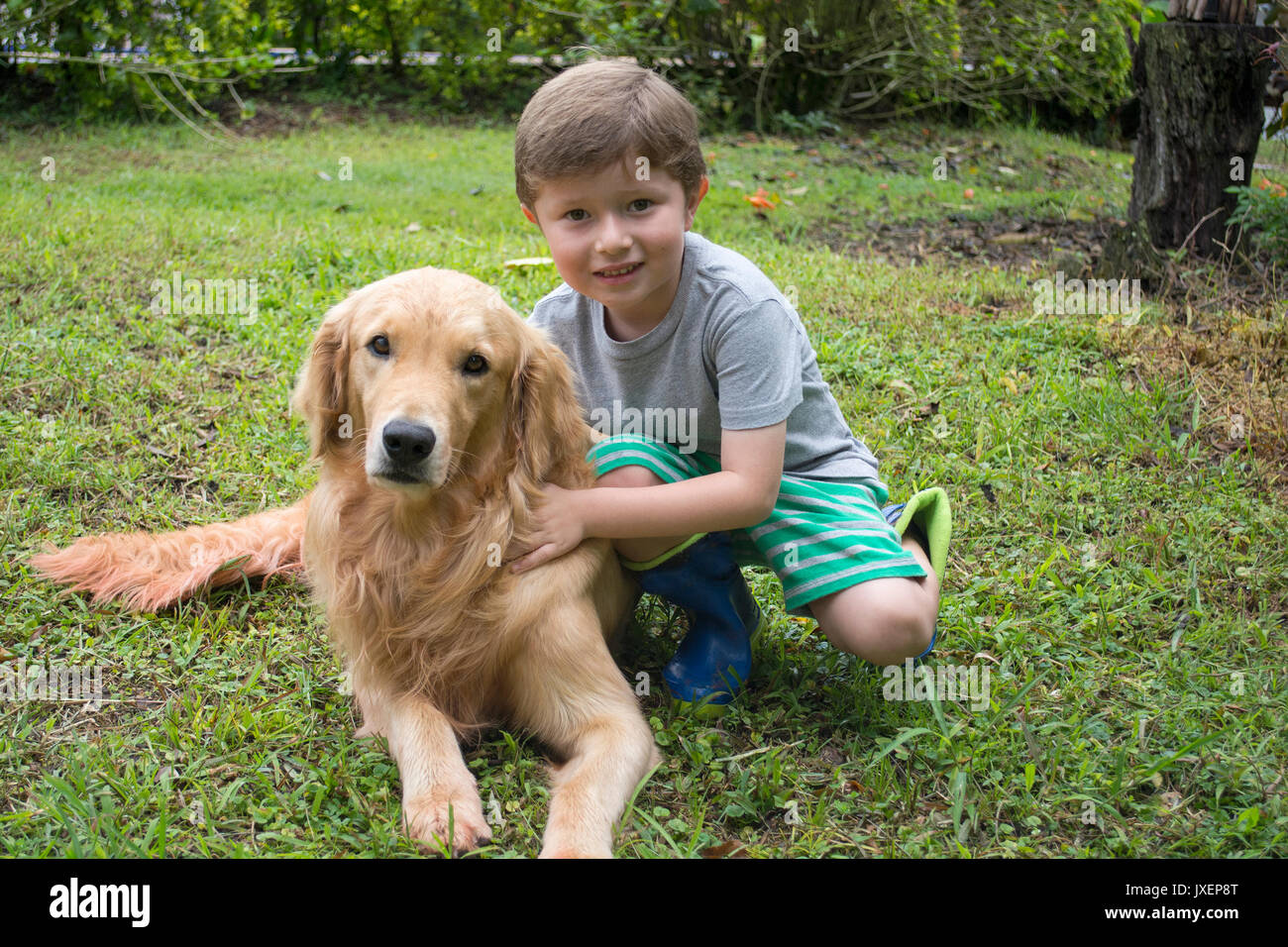 Boy Hugging the Dog in the Fall. Stock Photo
