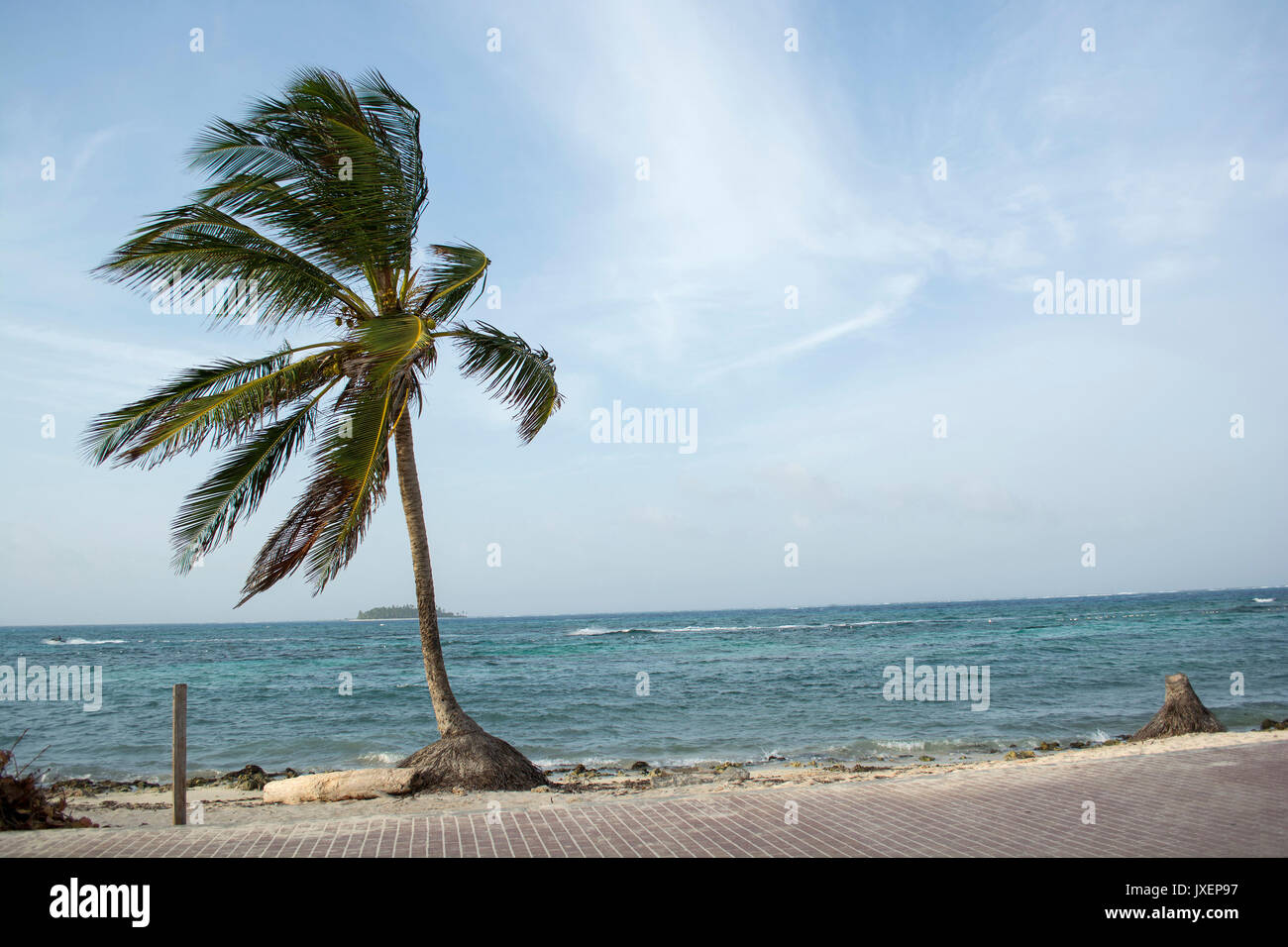 Palm tree on white sand beach front of a blue lagoon of a paradise island. Stock Photo