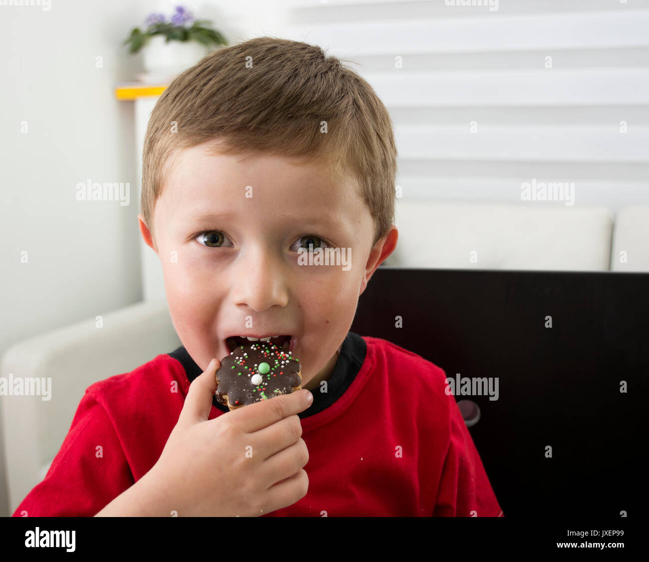 Smart and cheerful boy offering you a chocolate cookie. Stock Photo