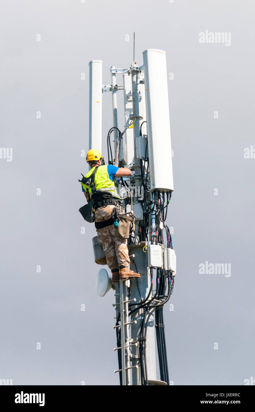 Working on a mobile 'phone telecommunications mast. Stock Photo