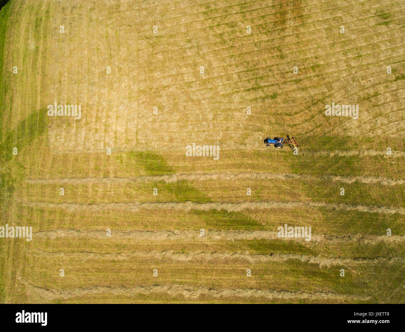 Tractor pulling a hay rake to prepare for baling Stock Photo Alamy