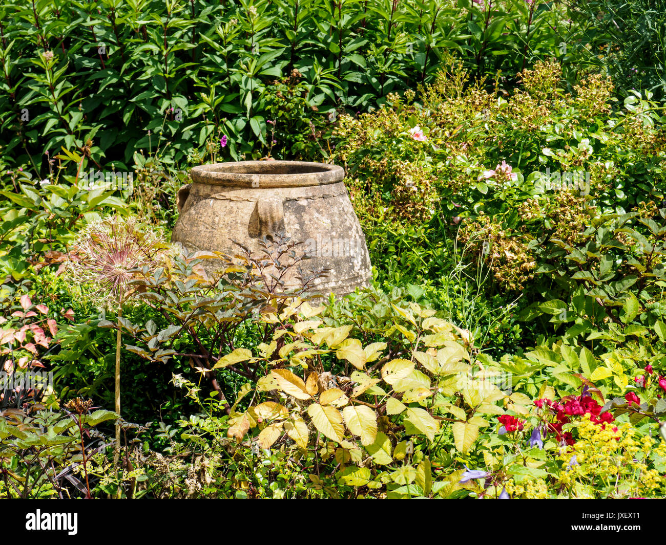 Burrow Farm Gardens Devon S Secret Garden At Dalwood Near