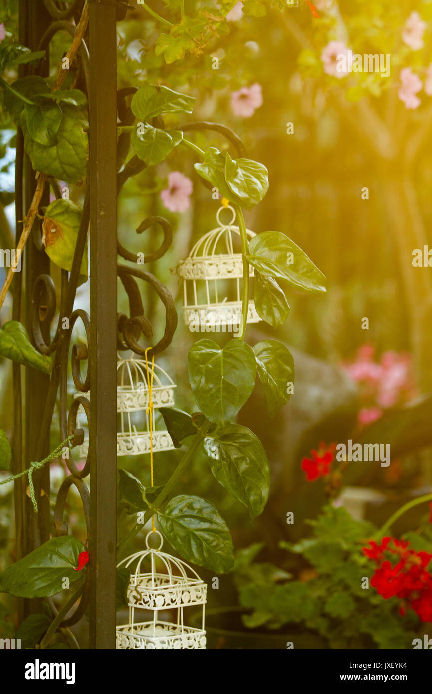 Open cages hires stock photography and images Alamy