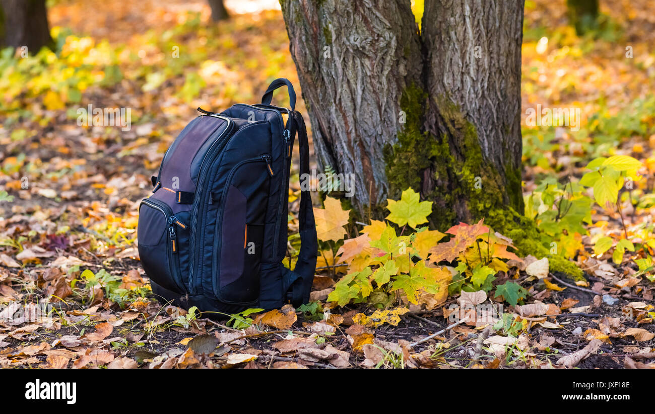 backpack in the woods concept travel tourism Stock Photo - Alamy