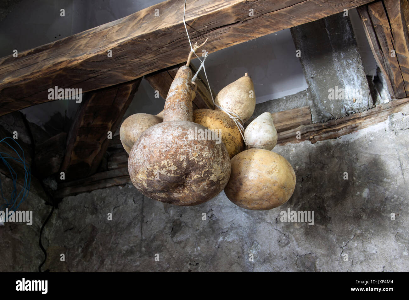 East Serbia - Dried gourds hanging from a ceiling beam in the winery Stock Photo