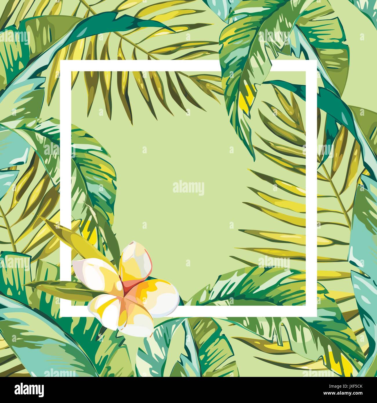 Banner, poster with palm leaves, jungle leaf. Beautiful vector floral ...