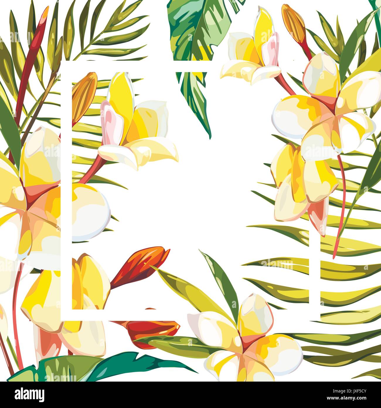 Banner Poster With Palm Leaves Jungle Leaf And Plumeria Flowers