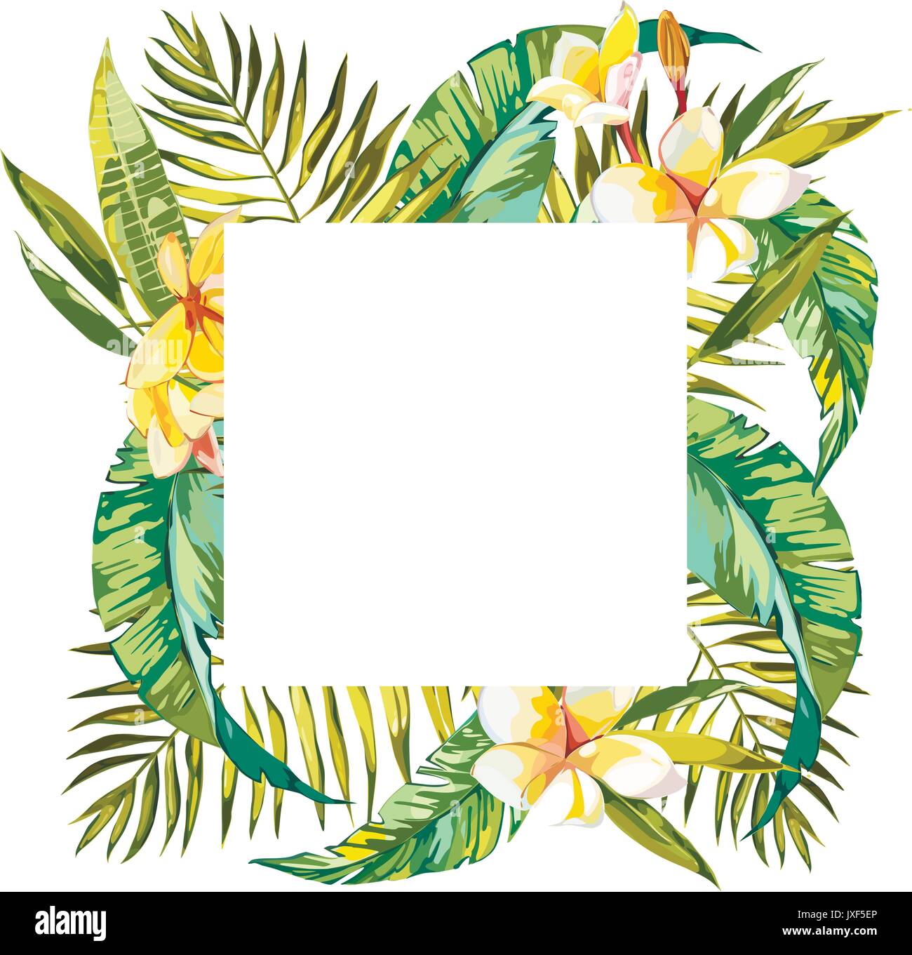 Summer tropical background with palm tree leaves and exotic plants, summer poster. Plumeria flowers. EPS 10 Stock Vector
