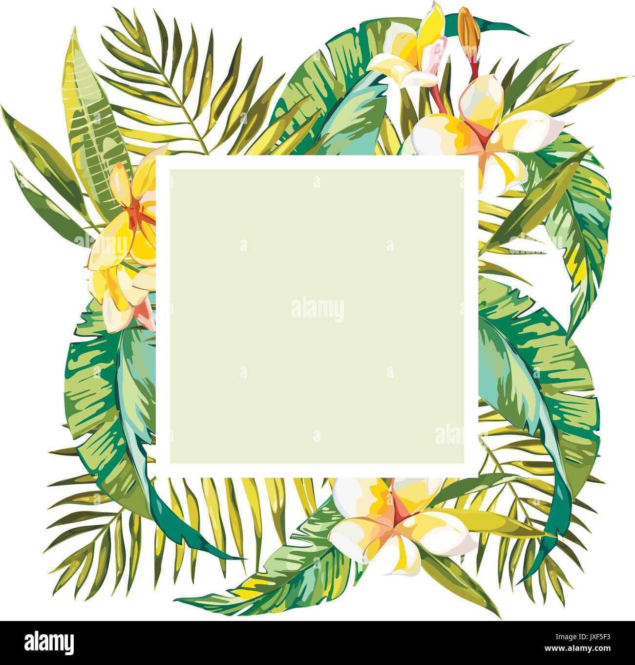 Summer tropical background with palm tree leaves and exotic plants, summer poster. Plumeria flowers. EPS 10 Stock Vector