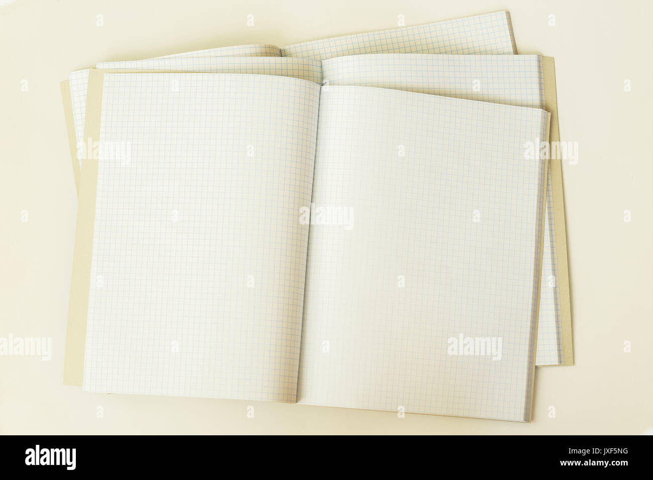 Close-up of three large open clean and empty notebook in a cage, top view, background, texture. Place for text, concept of back to school, starting school , any new cases Stock Photo