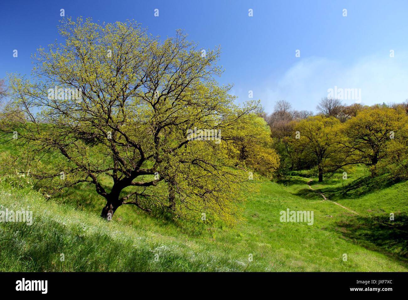 Khortitsa spring hi-res stock photography and images - Alamy
