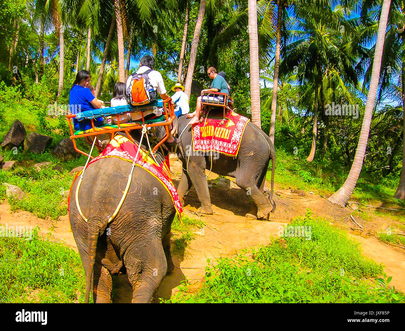 Thailand elephant ride woman hi-res stock photography and images - Alamy