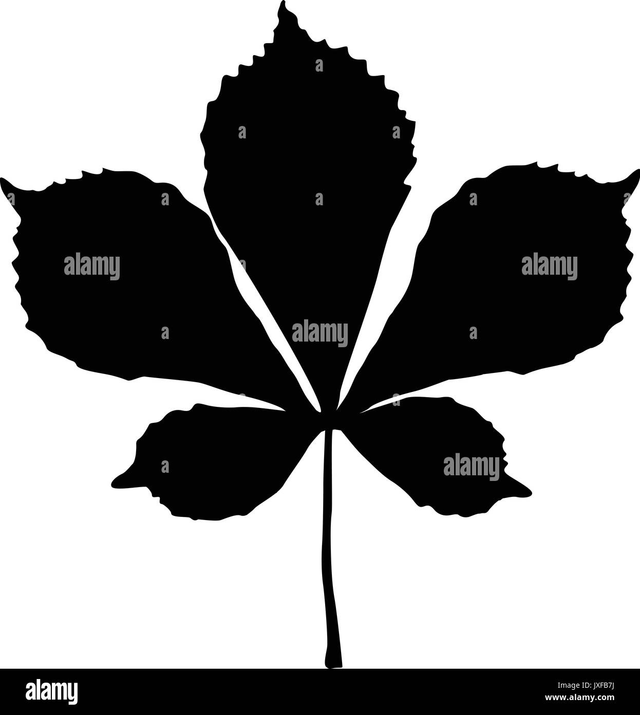 Dead white oak leaf Stock Vector Images - Alamy