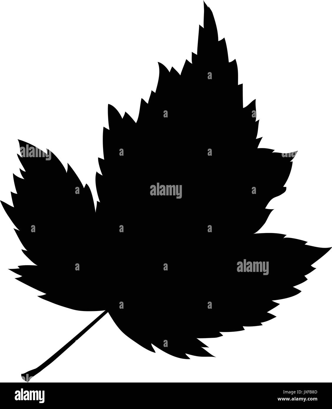 Dead white oak leaf Stock Vector Images - Alamy