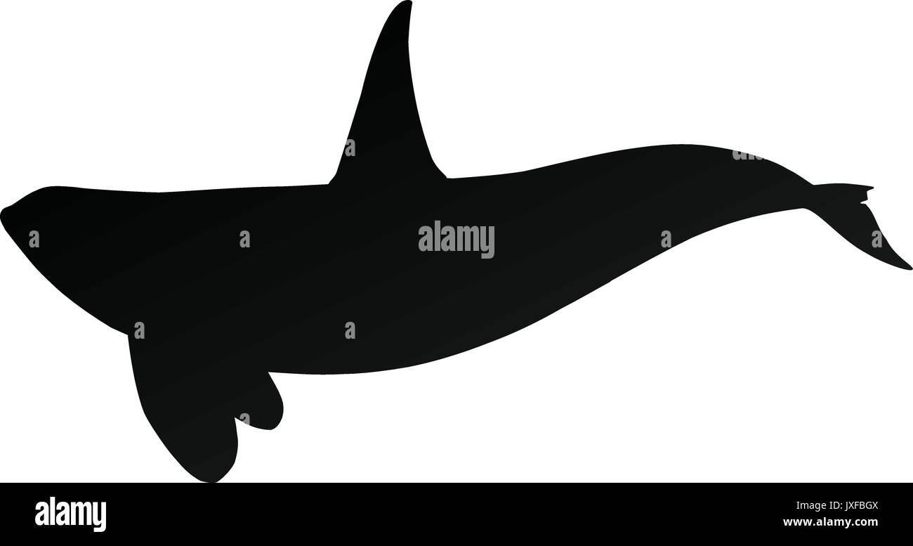 Featured image of post Orca Whale Silhouette Orca whale silhouette from animals mammals and whales