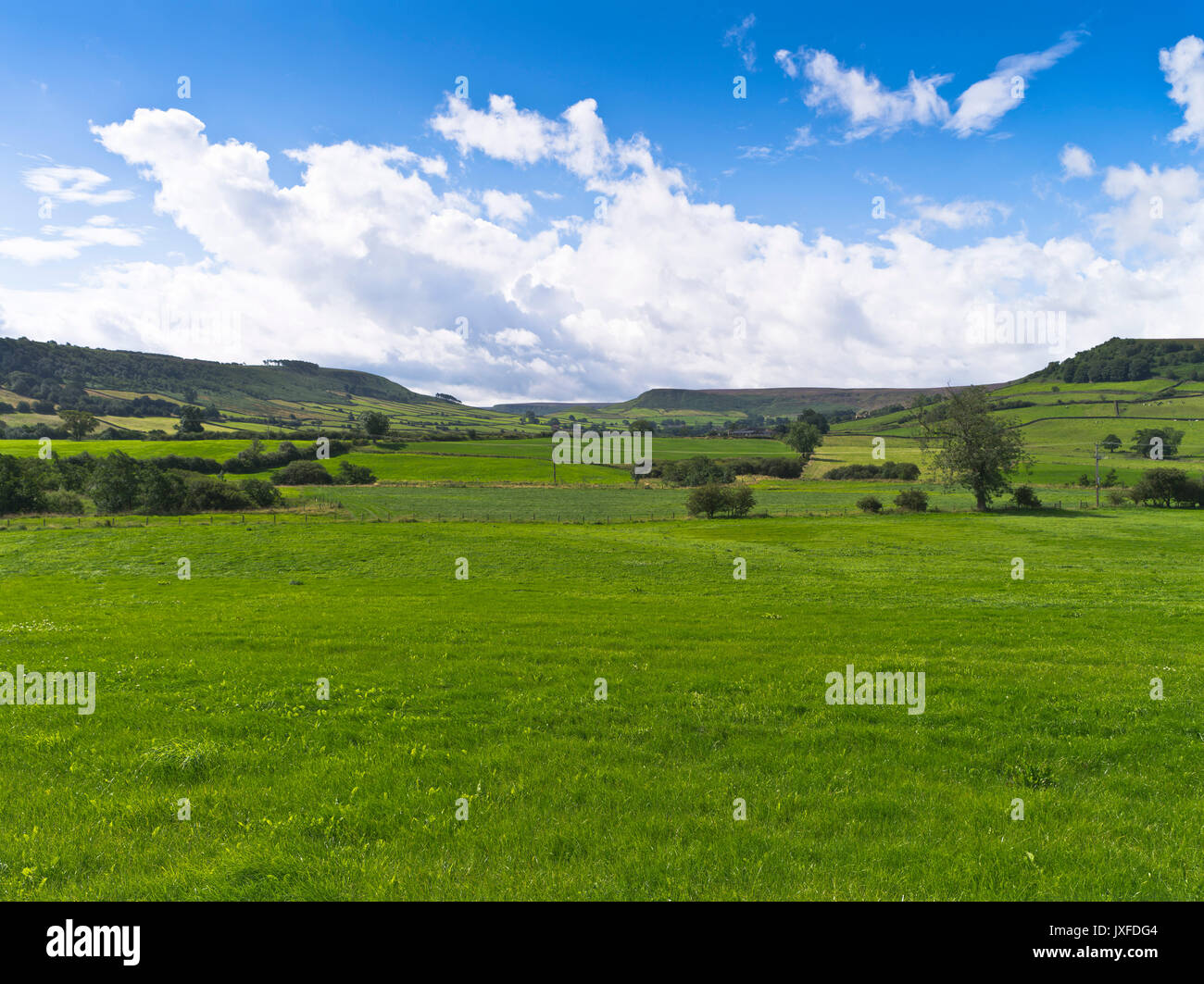 dh Esk Valley york national park DANBY NORTH YORKSHIRE Fields valley view of Danby Moor beautiful landscape moors countryside Stock Photo