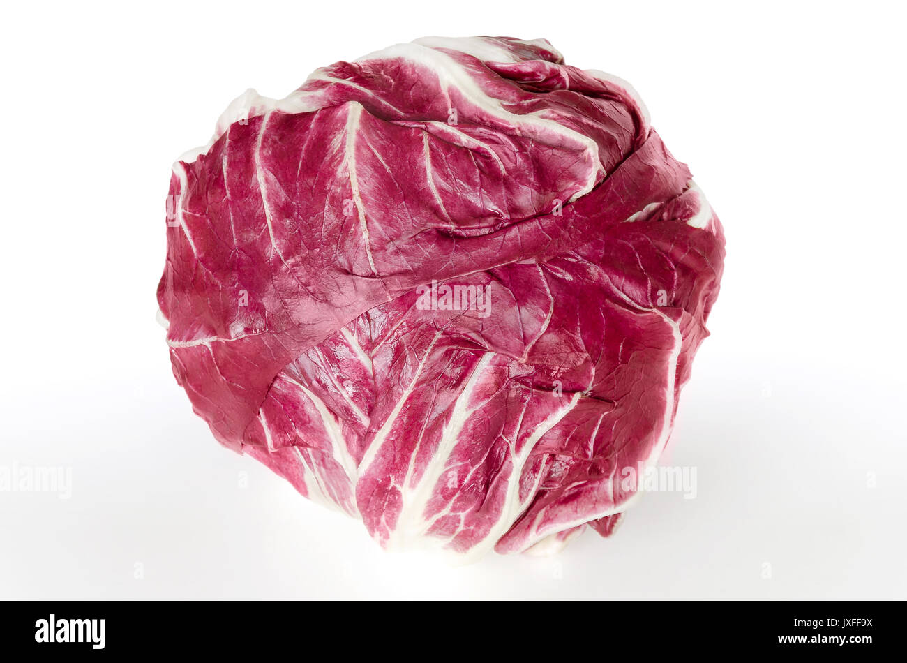 Radicchio front view over white. Italian chicory. Cultivated form of leaf chicory, Cichorium intybus. Leaf vegetable with white veined red leaves. Stock Photo