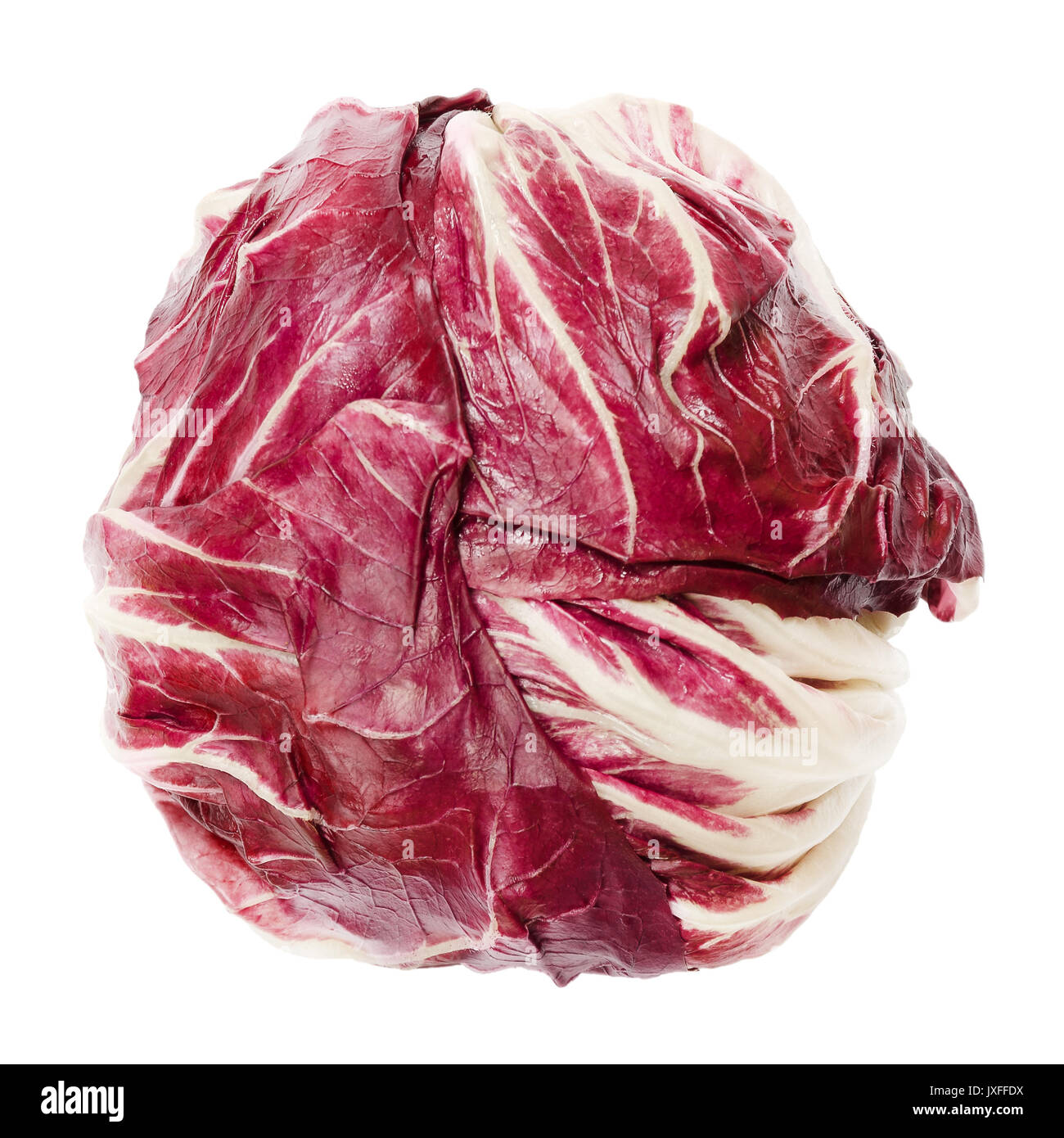 Radicchio from above isolated over white. Italian chicory. Cultivated form of leaf chicory, Cichorium intybus. Leaf vegetable with red leaves. Photo. Stock Photo
