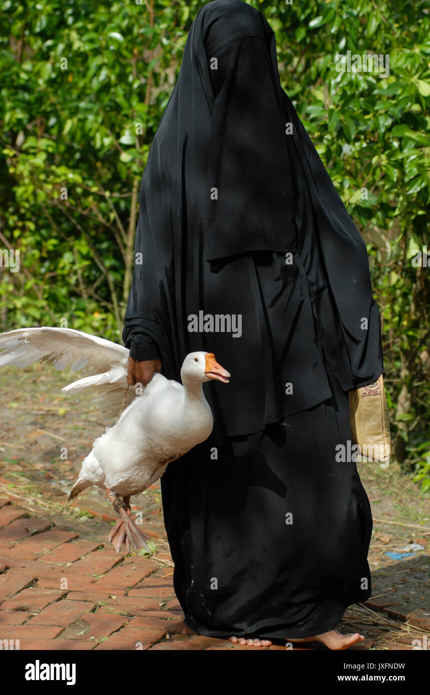 BANGLADESH, black veiled muslim woman in Chador with white goose / BANGLADESCH ,  schwarz verschleierte Muslima mit weisser Gans Stock Photo