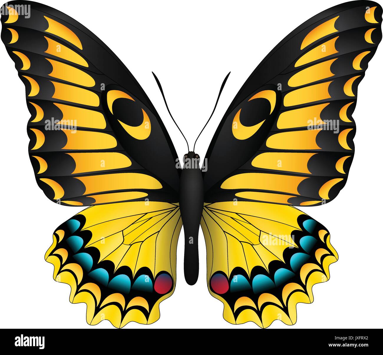 Beautiful butterfly isolated on a white background Stock Vector Image ...