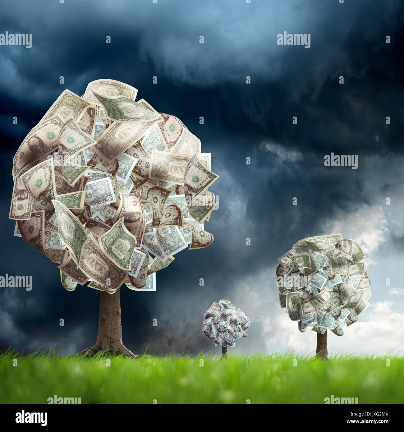 Loan tree hi-res stock photography and images - Alamy