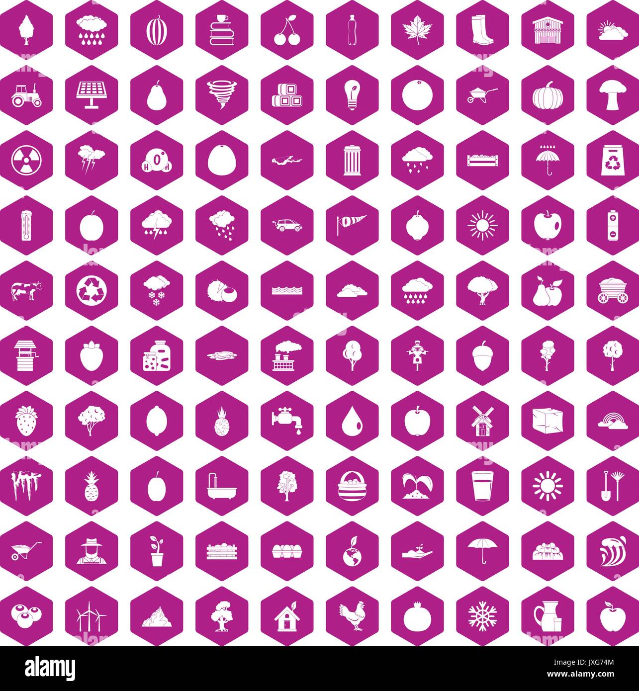 100 fruit icons hexagon violet Stock Vector
