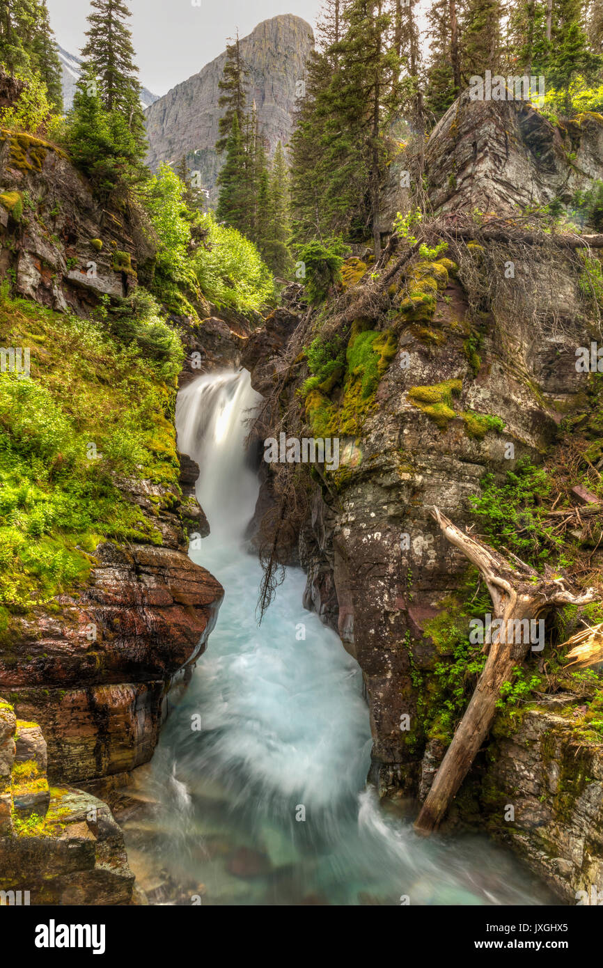 Cataract Creek plunges through a gorge at Hidden Falls below Angel Wing Mountain in Glacier National Park, Montana Stock Photo