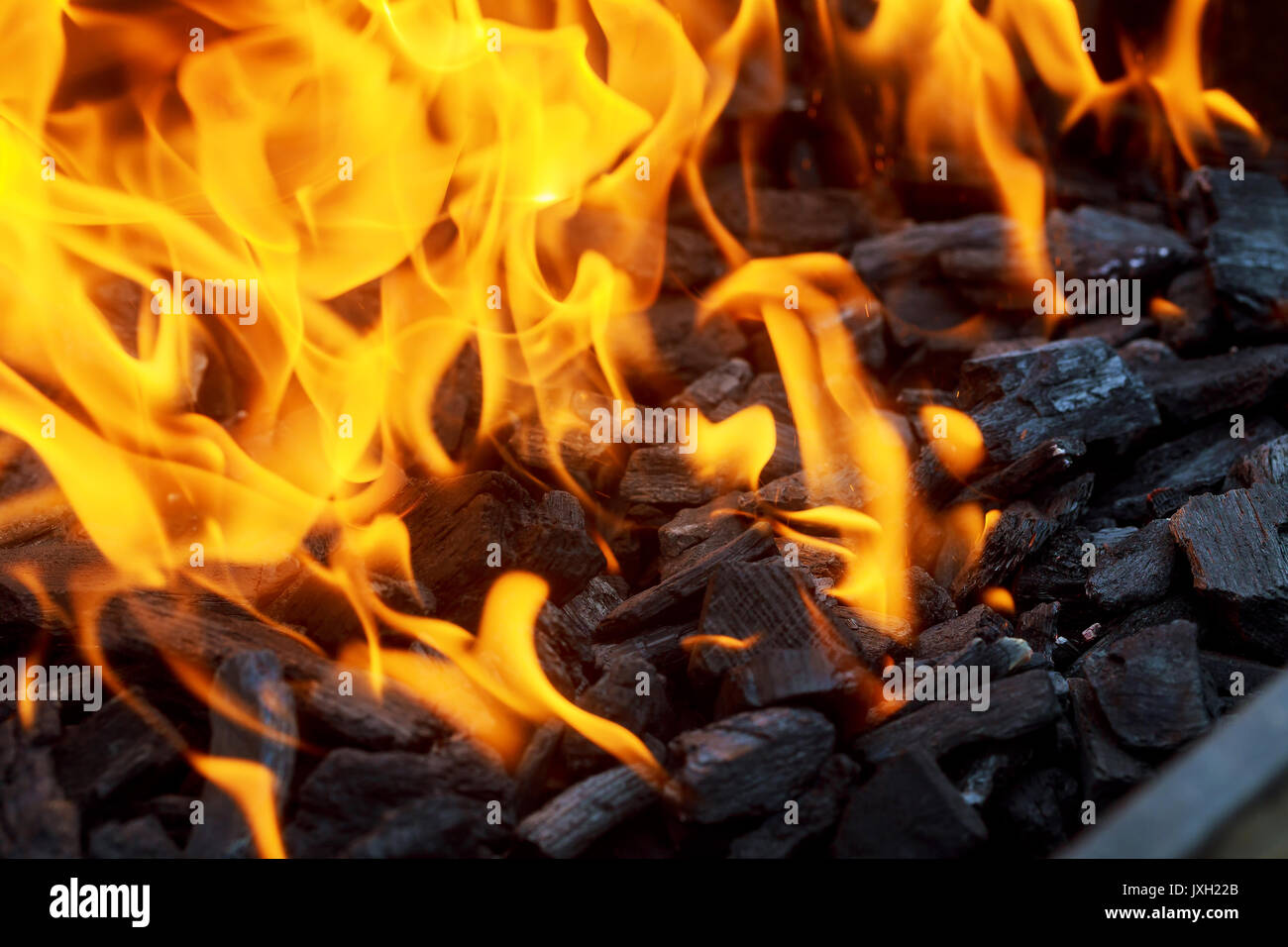 Close up of fire and flames on a black background Fire coal Stock Photo