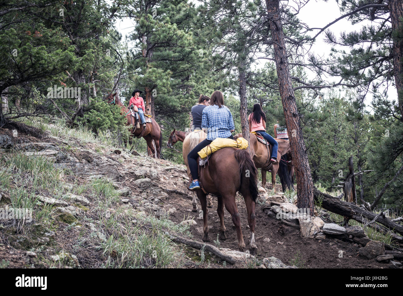 Horse trail riding in Estes Park, Colorado Stock Photo Alamy