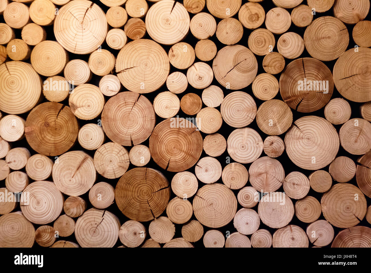 A cross-section of logs for the Timber industry Stock Photo