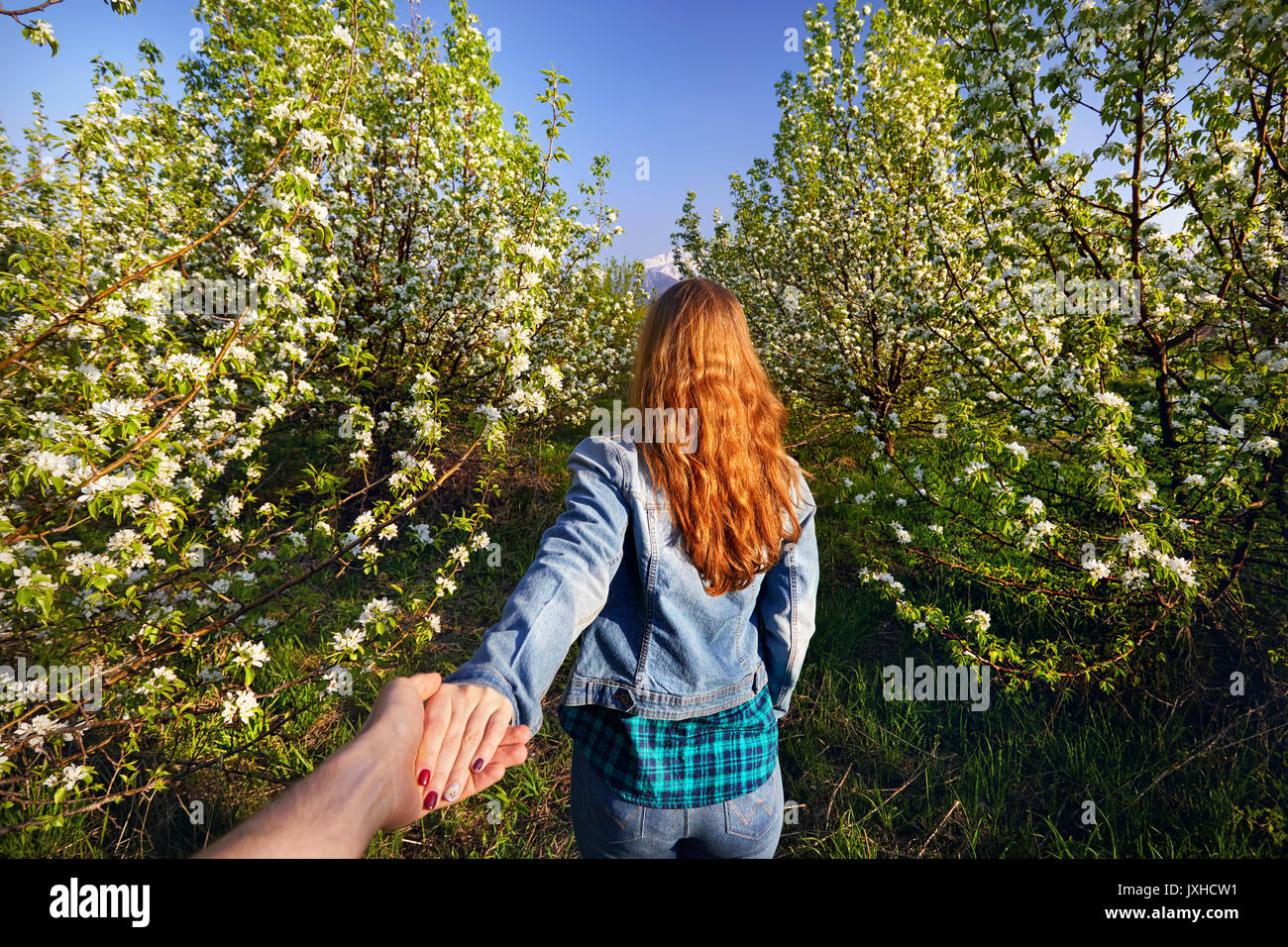 Woman in with red hair holding her friend by hand and leading him to the garden with cherry blossom trees at sunrise Stock Photo