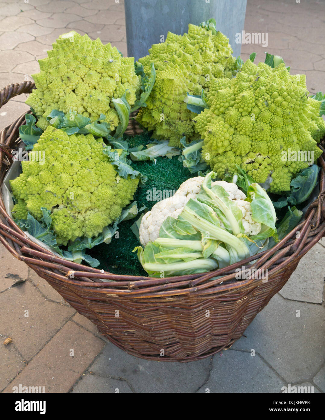 Cauliflower (Brassica oleracea var. botrytis 'Romanesco') Stock Photo