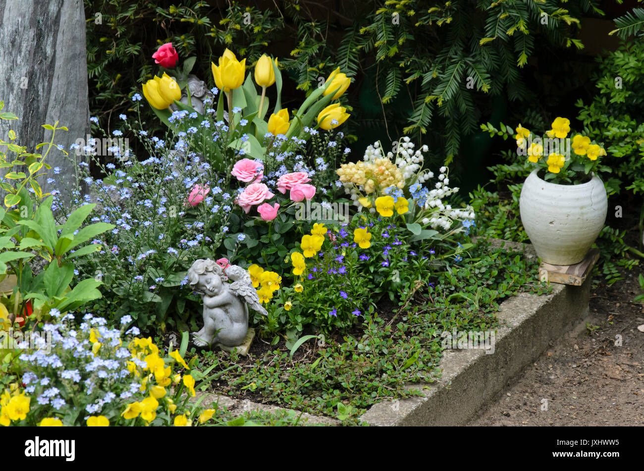 Forget-me-nots (Myosotis), tulips (Tulipa), roses (Rosa) and violets (Viola) Stock Photo