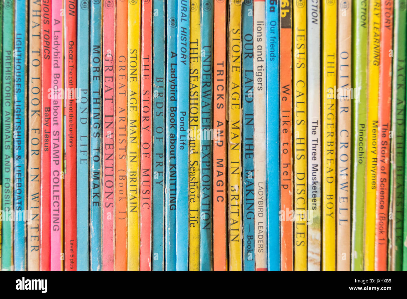 A bookshelf of slightly faded multi-coloured Ladybird books spines Stock Photo