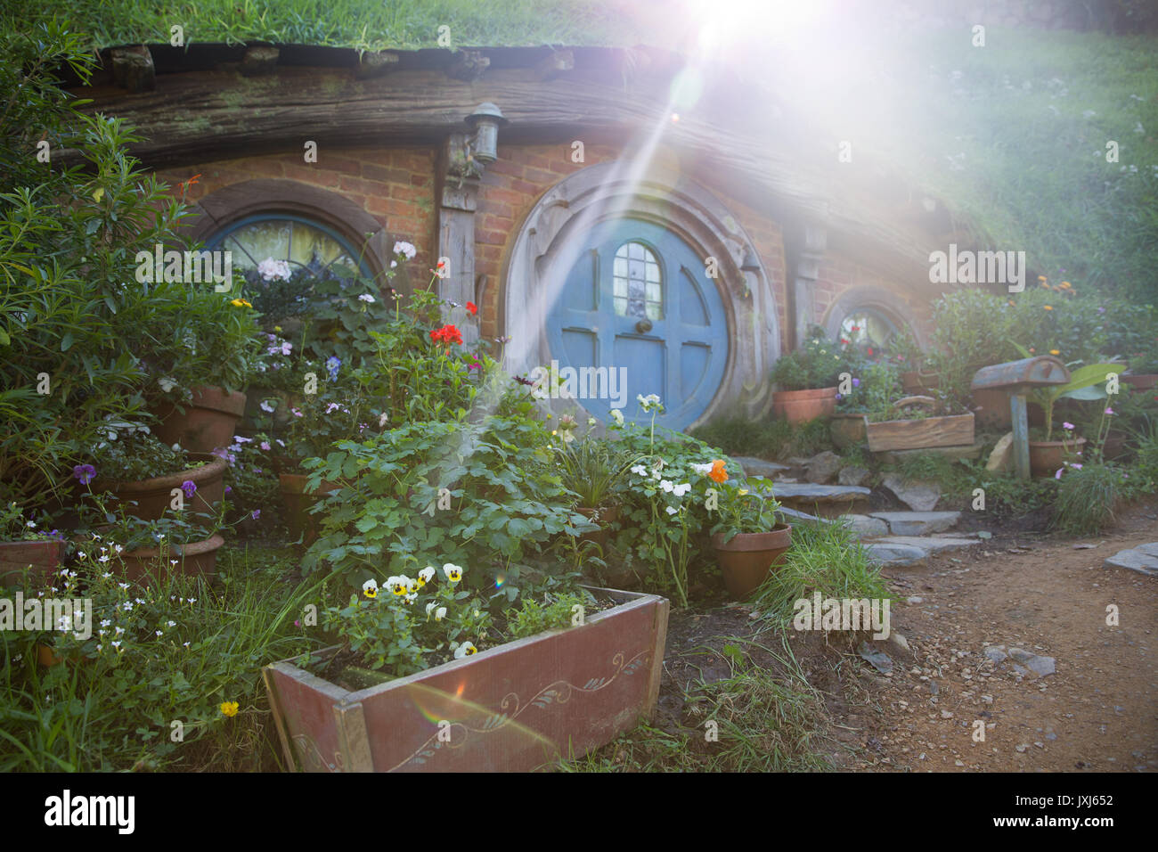 Ray of sunshine feeding the garden Stock Photo