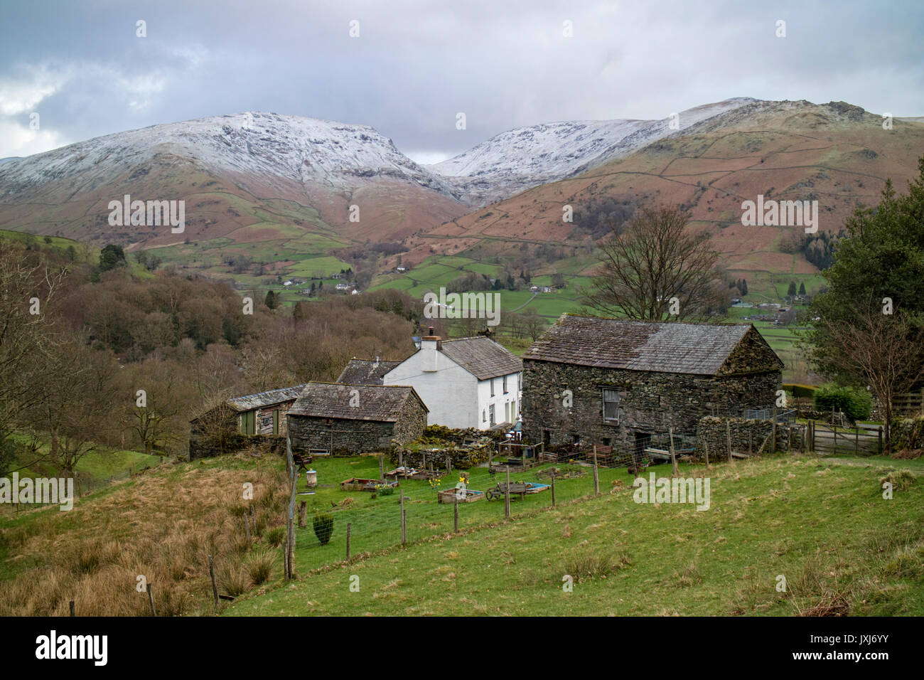 Traditional lakeland farm near Ambleside, Lake District National Park, Cumbria, England, UK Stock Photo