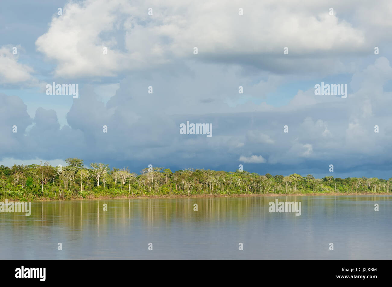 Amazonas landscape. The photo present Amazon river, Brazil Stock Photo ...