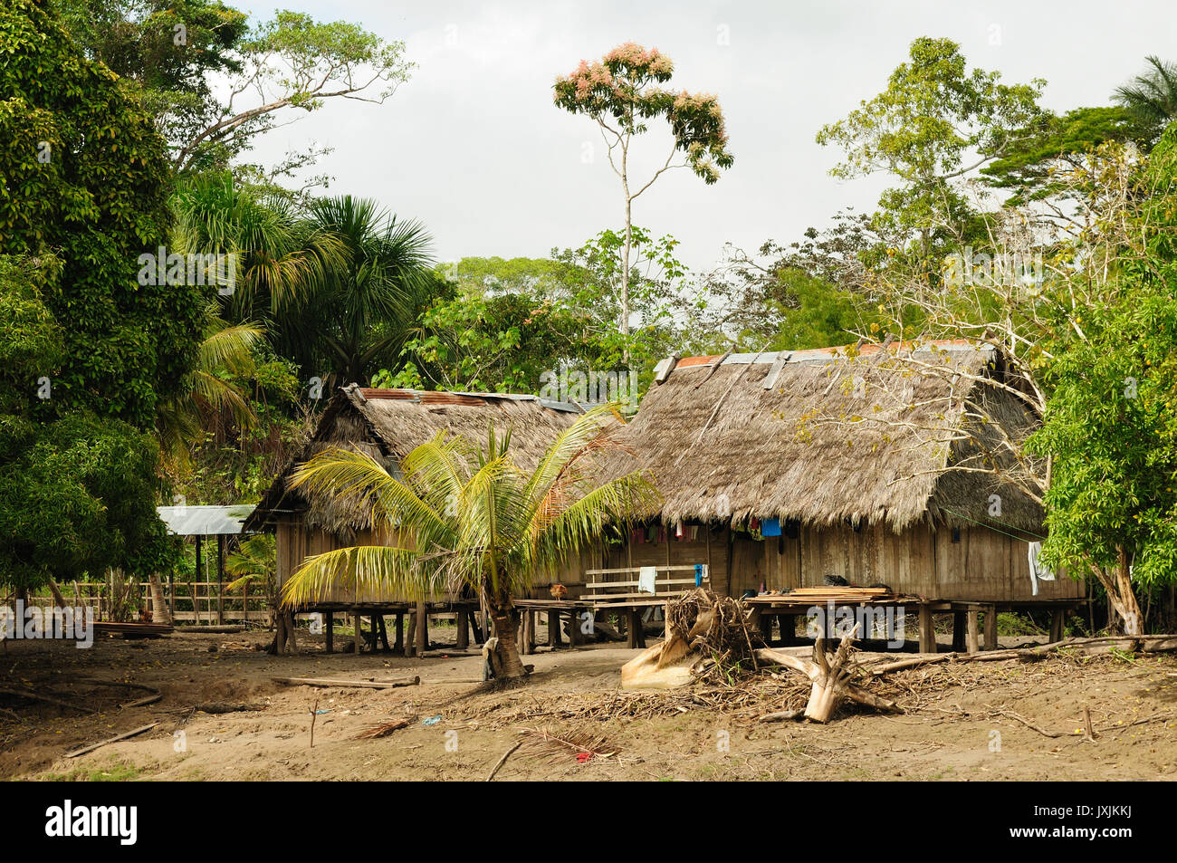 Peru, Peruvian Amazonas landscape. The photo present typical indian ...