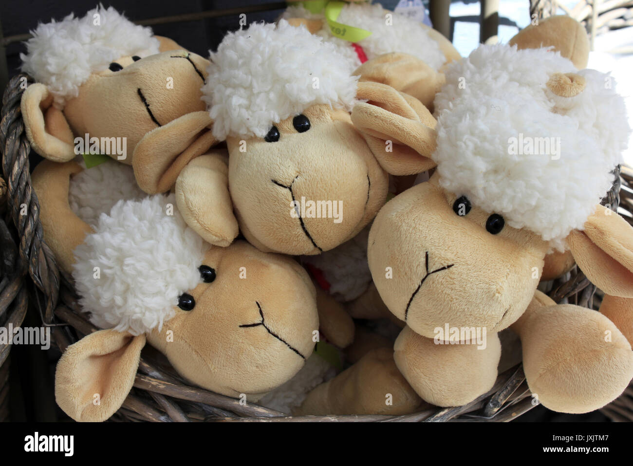 Texel Sheep Soft Toys Stock Photo