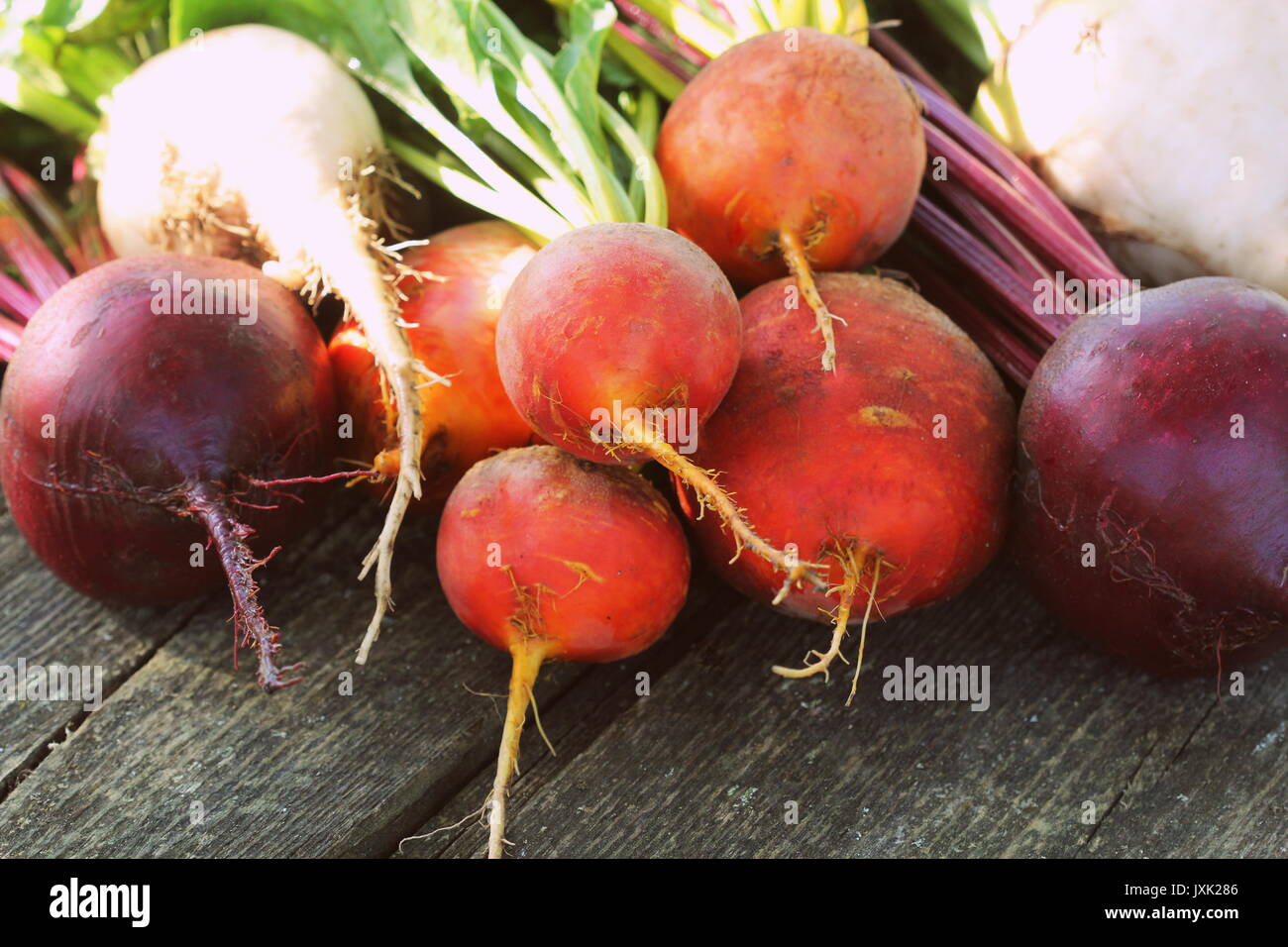 Download Yellow Beetroot High Resolution Stock Photography And Images Alamy PSD Mockup Templates