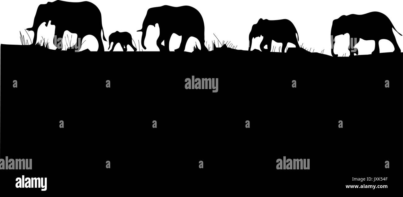 silhouettes of elephants cross africa on black isolated. Stock Vector